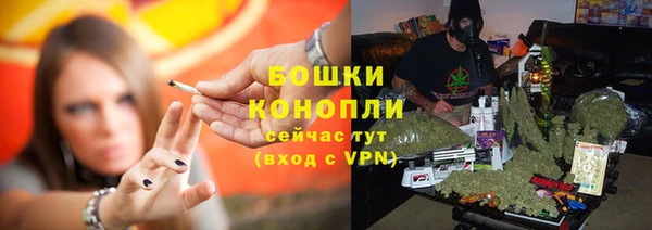 Альфа ПВП Горняк