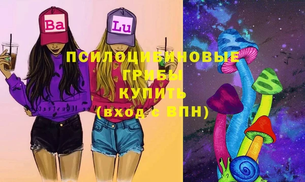 Альфа ПВП Горняк