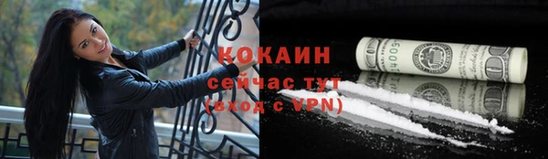 Альфа ПВП Горняк