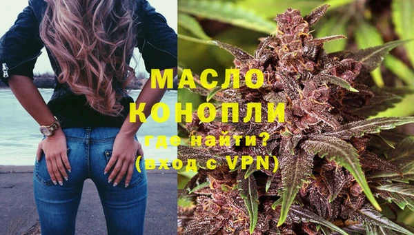 Альфа ПВП Горняк