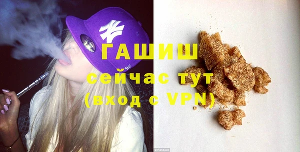 Альфа ПВП Горняк