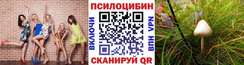 Псилоцибиновые грибы GOLDEN TEACHER  Купить где  Фатеж 
